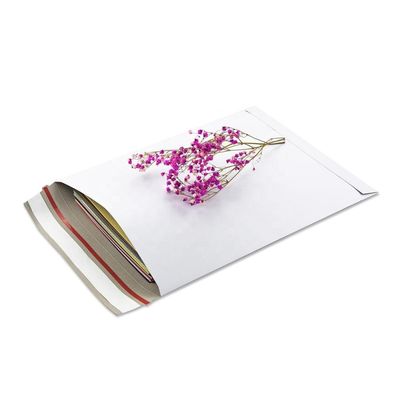 배달 패키지 350mc ~ 700mc 두께의 자기 접착성 고리 봉투